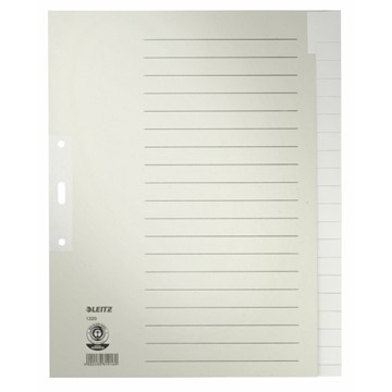 Leitz 12200085 - Register Blanko, Papier, Grau, 20 Blatt