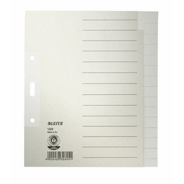 Leitz 12250085 - Register Blanko, Papier, Grau, 15 Blatt