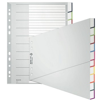 Leitz 12700000 - Register Blanko, Plastik, Grau, 10 Blatt