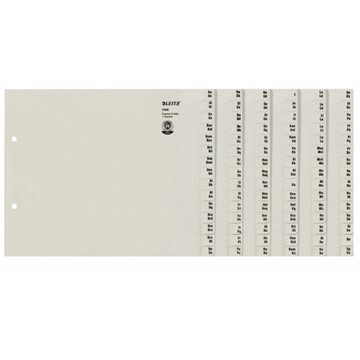 Leitz 13080085 - Registerserien zur alphabetischen Ablage, Papier, Grau