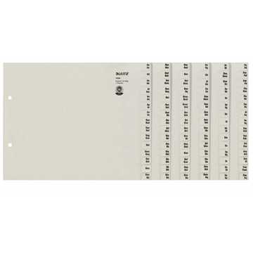 Leitz 13240085 - Registerserien zur alphabetischen Ablage, Papier, Grau