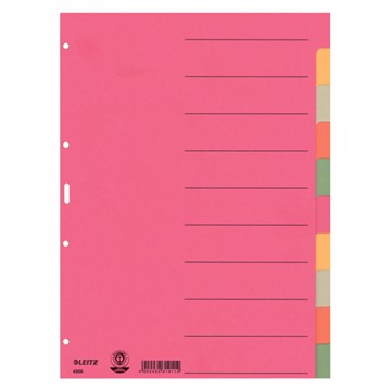Leitz 43590000 - Register Blanko, Karton, Mehrfarbig, 10 Blatt
