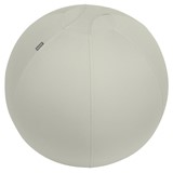Artikel 6542-00-85