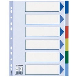 Esselte Register Blanko, Plastik, Mehrfarbig