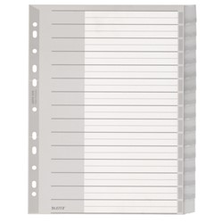 Leitz Register Blanko, Plastik, Grau, 15 Blatt