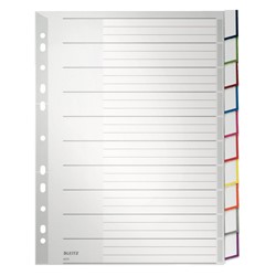 Leitz Register Blanko, Plastik, Grau, 10 Blatt