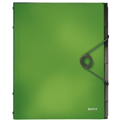 Leitz Solid Ordnungsmappe, A4, Hellgrün