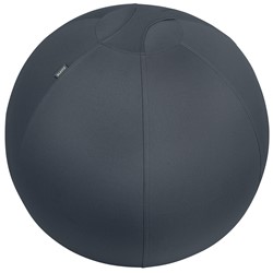 Leitz Ergo Cosy Sitzball für aktives Sitzen, Samtgrau