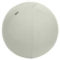 Leitz Ergo Active Sitzball mit Anti-Wegroll-Design, 55cm, Grau