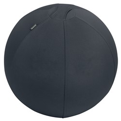 Leitz Ergo Active Sitzball mit Anti-Wegroll-Design, 55cm, Dunkelgrau