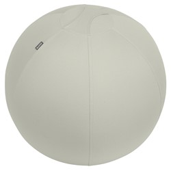 Leitz Ergo Active Sitzball mit Anti-Wegroll-Design, 65cm, Grau