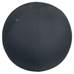 Leitz Ergo Active Sitzball mit Anti-Wegroll-Design, 65cm, Dunkelgrau