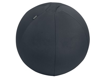 Sitzball