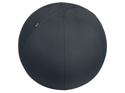 Sitzball