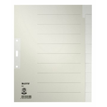 Leitz 12210085 - Register Blanko, Papier, Grau, 10 Blatt
