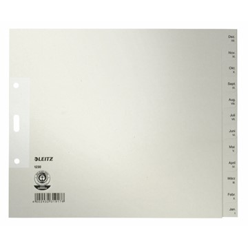 Leitz 12300085 - Register Monate, Papier, Grau, 12 Blatt