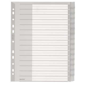 Leitz 12760000 - Register Blanko, Plastik, Grau, 15 Blatt