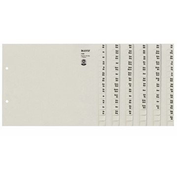 Leitz 13360085 - Registerserien zur alphabetischen Ablage, Papier, Grau