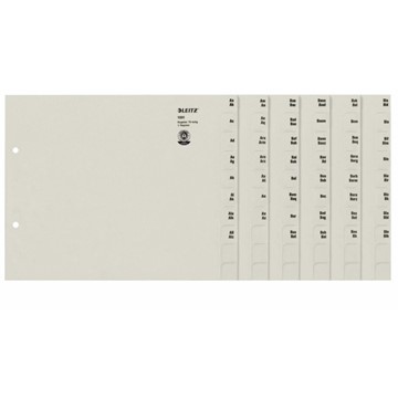 Leitz 13510085 - Registerserien zur alphabetischen Ablage, Papier, Grau