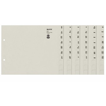 Leitz 13530085 - Registerserien zur alphabetischen Ablage, Papier, Grau
