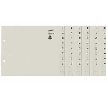 Leitz 13540085 - Registerserien zur alphabetischen Ablage, Papier, Grau