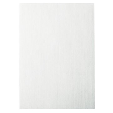 Leitz 33650 - Deckblätter für Bindesysteme, Leinenoptik, Weiß