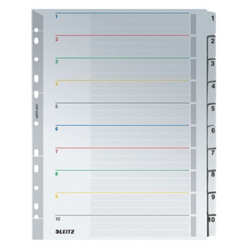 Leitz 43310000 - Wiederbeschreibbare Register, Karton, Grau