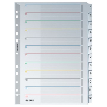 Leitz 43320000 - Wiederbeschreibbare Register, Karton, Grau