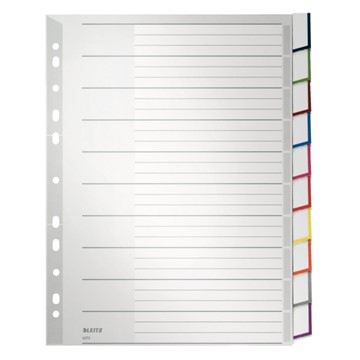 Leitz 43700000 - Register Blanko, Plastik, Grau, 10 Blatt