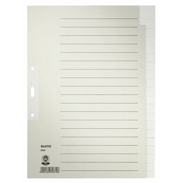 Leitz 60960085 - Register Blanko, Papier, Grau, 20 Blatt