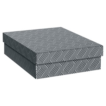 VON 61560085 - Leitz Aufbewahrungsbox Mittel, Flach, 7 L, 3er-Pack, grau