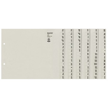 Leitz 13060085 - Registerserien zur alphabetischen Ablage, Papier, Grau