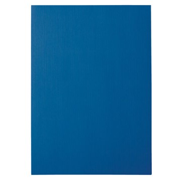 Leitz 15772 - Deckblätter für Bindesysteme, Leinenoptik, Blau